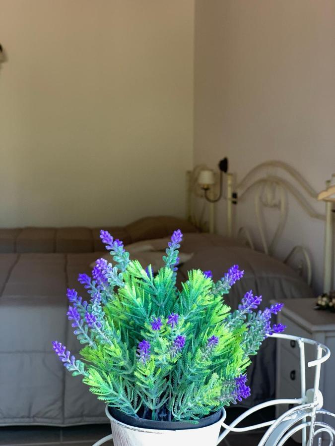 Bed and Breakfast Barsentello Noci Esterno foto